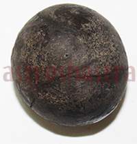 Shaligram 10746 50gm